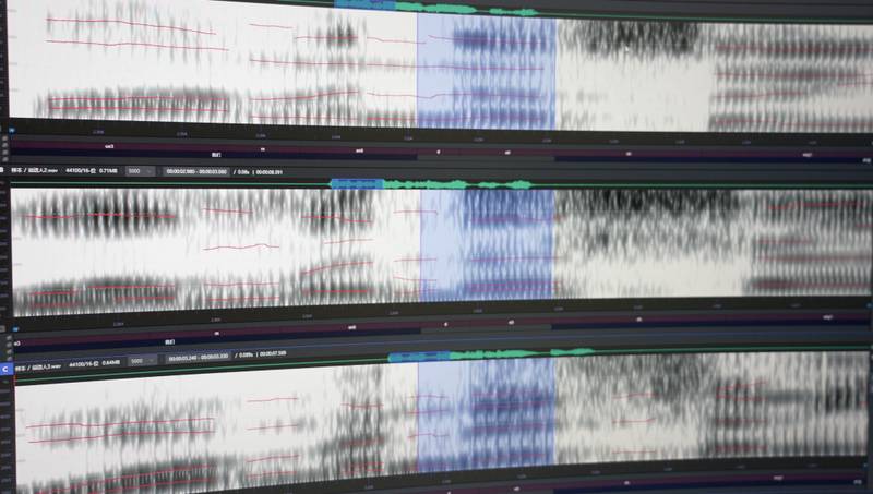  数字时代警示：个人声纹资产的防御指南 IT技术