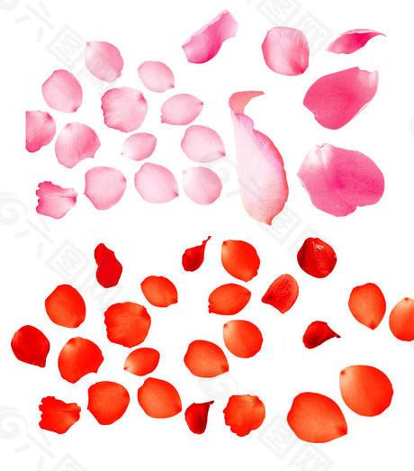  万亿赛道敲门砖：人形机器人IPO突围实战指南 IT技术 万亿赛道敲门砖：人形机器人IPO突围实战指南 IT技术