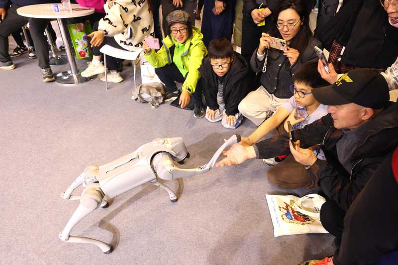  万亿赛道敲门砖：人形机器人IPO突围实战指南 IT技术 万亿赛道敲门砖：人形机器人IPO突围实战指南 IT技术