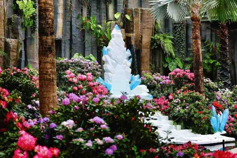  浦江岸边的花事悬念：世纪公园如何凭一朵樱花重塑文旅版图 文化旅游