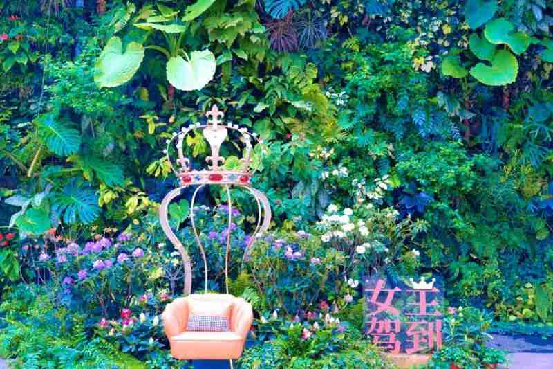  浦江岸边的花事悬念：世纪公园如何凭一朵樱花重塑文旅版图 文化旅游