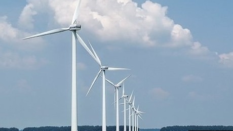  行业增长非必然：单纯追求销量规模将陷入盲区 新闻