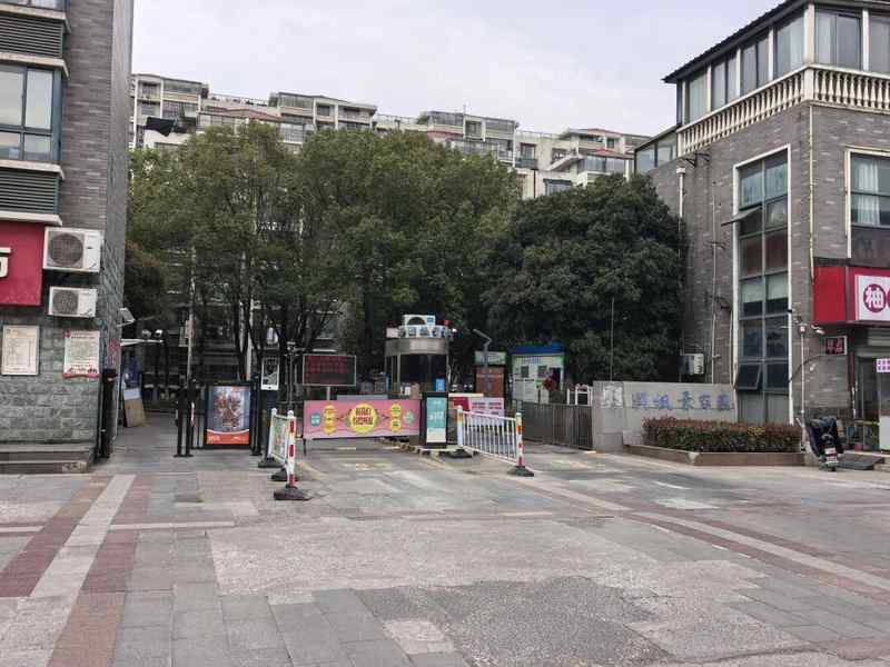  超长期特别国债赋能：老旧电梯更新改造的技术路径与实践分析 房产家居