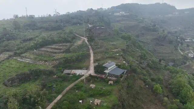  【深度复盘】农村生产道路骑行事故的法律责任边界：七个维度全面解析 新闻