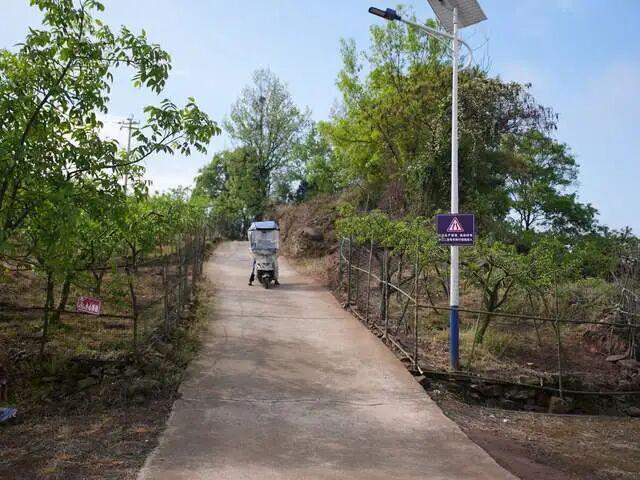  【深度复盘】农村生产道路骑行事故的法律责任边界：七个维度全面解析 新闻