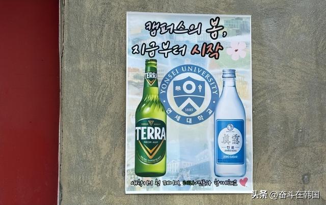  那些不再举杯的年轻面孔：韩国大学生酒馆里消失的“通宵续杯”记忆 新闻