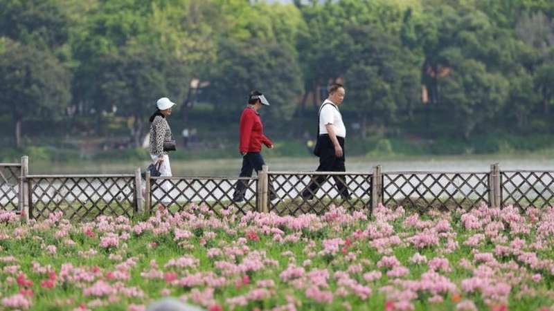  专项债包装乱象透视：7亿元农业项目是如何沦为形象工程的 股票财经 专项债包装乱象透视：7亿元农业项目是如何沦为形象工程的 股票财经