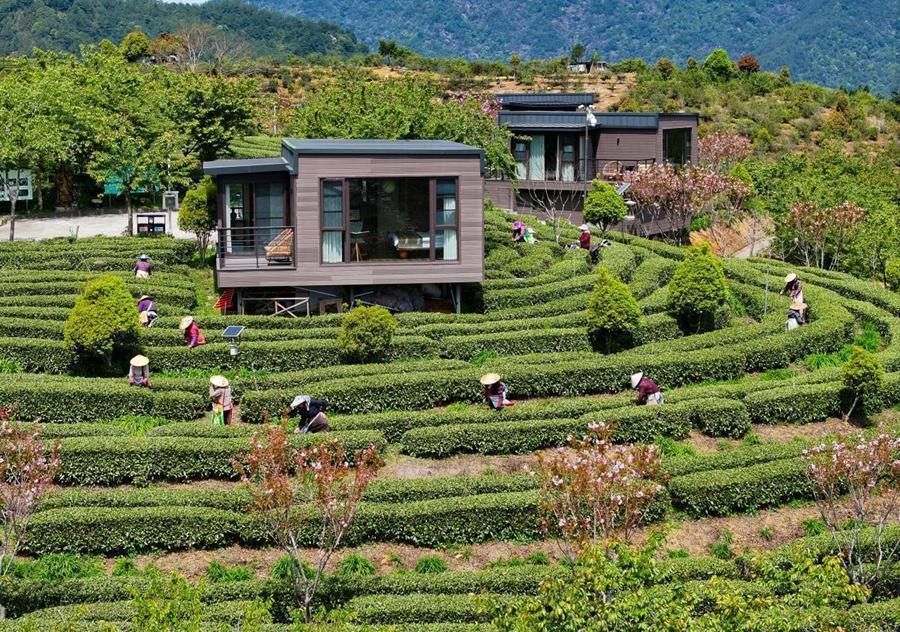  从「一片叶」到「一条链」：永泰茶产业三产融合的技术拆解与方法论 文化旅游