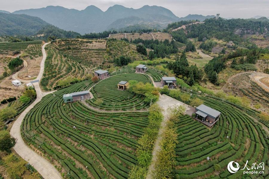  从「一片叶」到「一条链」：永泰茶产业三产融合的技术拆解与方法论 文化旅游