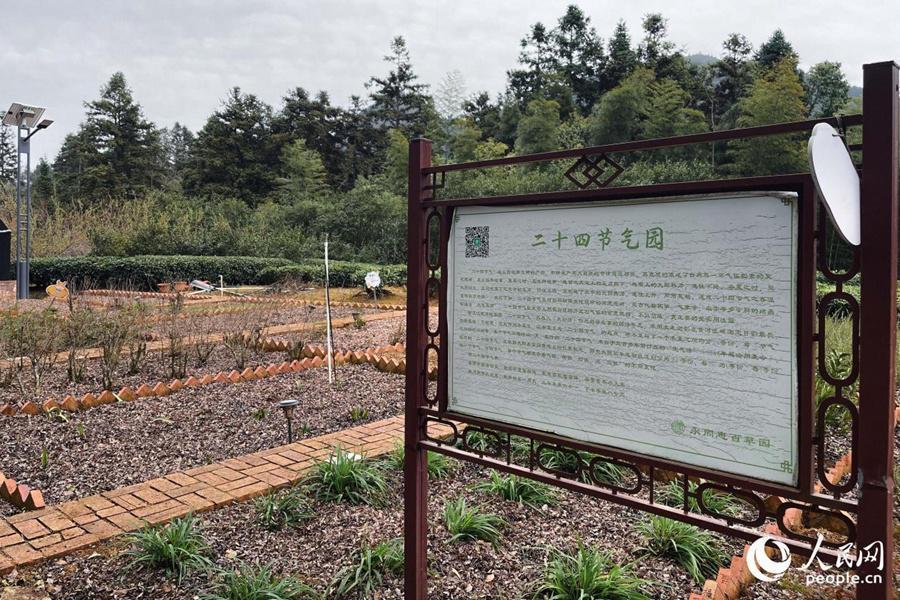  从「一片叶」到「一条链」：永泰茶产业三产融合的技术拆解与方法论 文化旅游