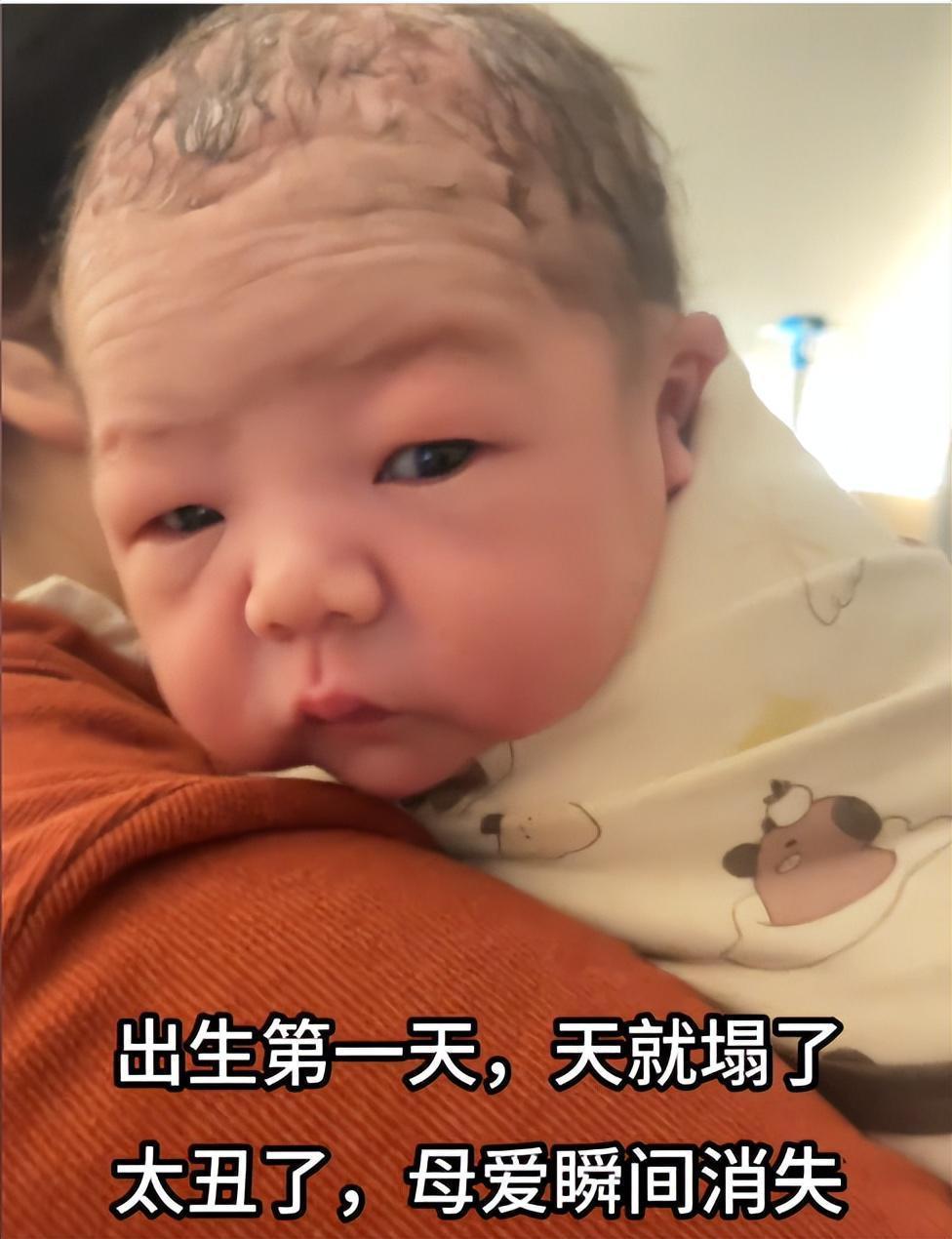  深度解析：新生儿外貌形成机制与外貌演变规律研究报告 健康养生