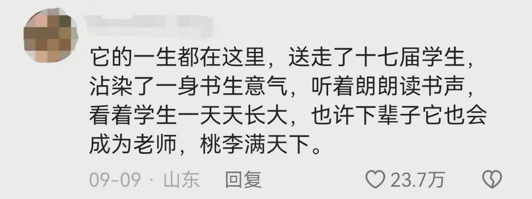 那年高考前,我在海安高级中学遇见了改变我人生的「阿黄学长」 情感心理