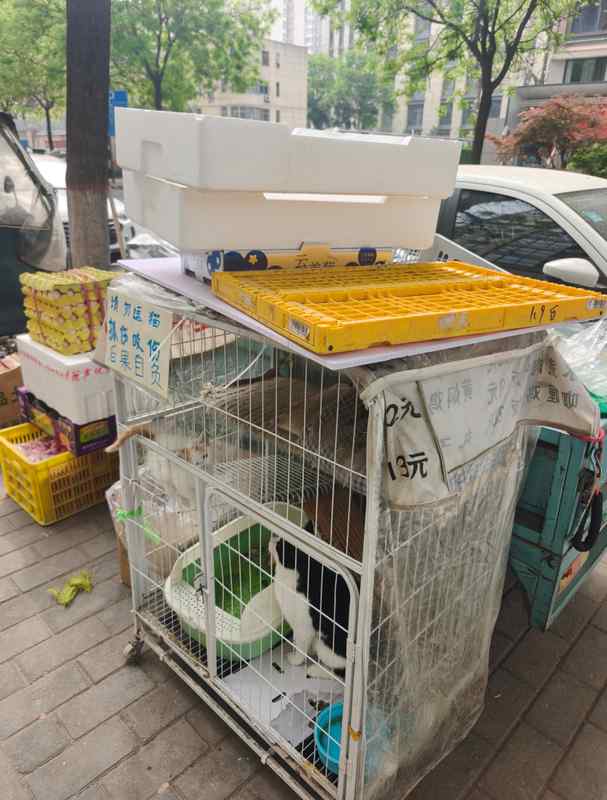 城市公共空间治理深度剖析:西安多处占道乱象的系统性整改方案 新闻 城市公共空间治理深度剖析:西安多处占道乱象的系统性整改方案 新闻 城市公共空间治理深度剖析:西安多处占道乱象的系统性整改方案 新闻 城市公共空间治理深度剖析:西安多处占道乱象的系统性整改方案 新闻
