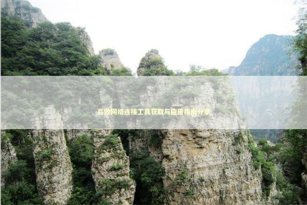 高效网络连接工具获取与应用指南分享