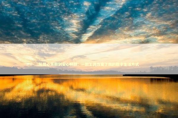 从提心吊胆到安心畅聊：一款工具改变了我的数字生活方式 IT技术