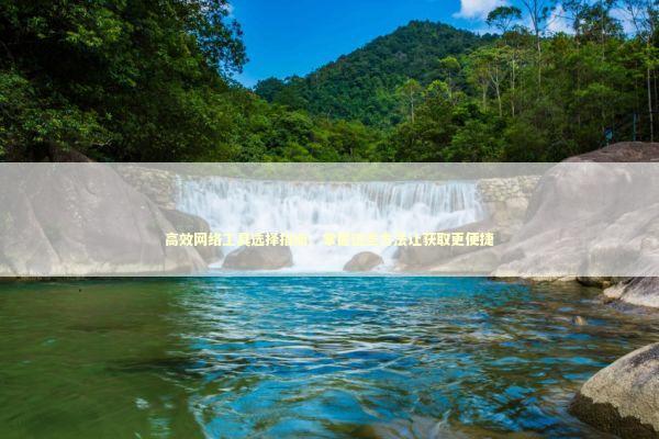 高效网络工具选择指南：掌握这些方法让获取更便捷 IT技术