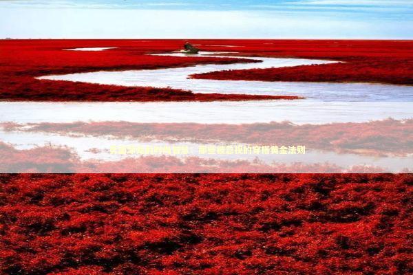 页面深处的时尚智慧：那些被忽视的穿搭黄金法则 时尚用品