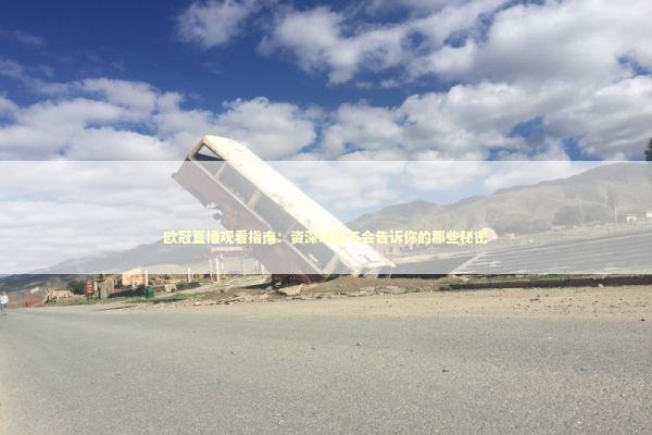 欧冠直播观看指南:资深球迷不会告诉你的那些秘密 欧冠直播观看指南:资深球迷不会告诉你的那些秘密 体育新闻