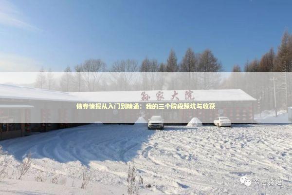 债券情报从入门到精通：我的三个阶段踩坑与收获